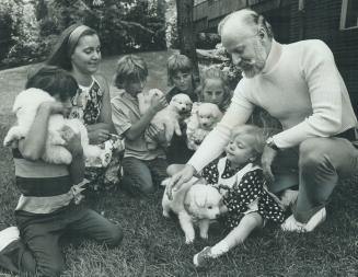 The samoyed puppies never lack young playmates