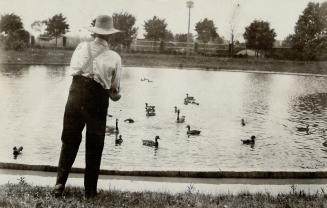 Jack Miner, birds which keeps on place all the time