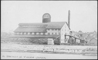 A Souvenir of Victoria Harbour