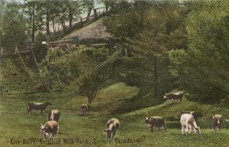 City Dairy, Certified Milk Farm. Toronto, Canada