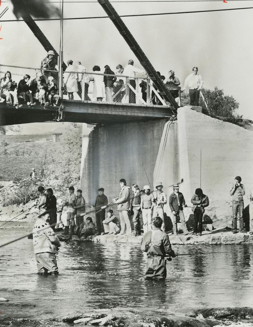 Undeterred by warnings from the Ontario health ministry, hundreds of fishermen swarmed the banks and bridges on the Credit River during the weekend, seeking coho salmon