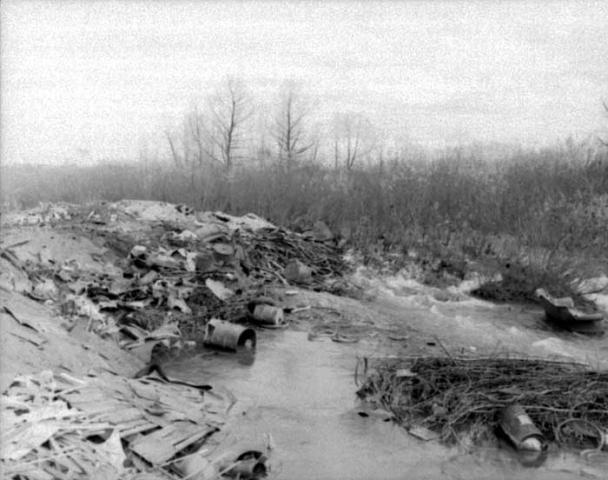 Hurricane Hazel, Humber River garbage