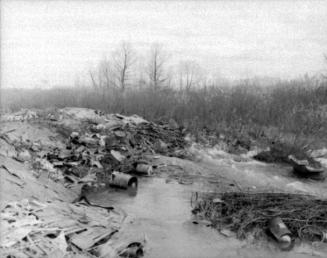 Hurricane Hazel, Humber River garbage