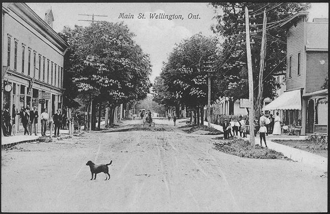 Main St. Wellington, Ontario