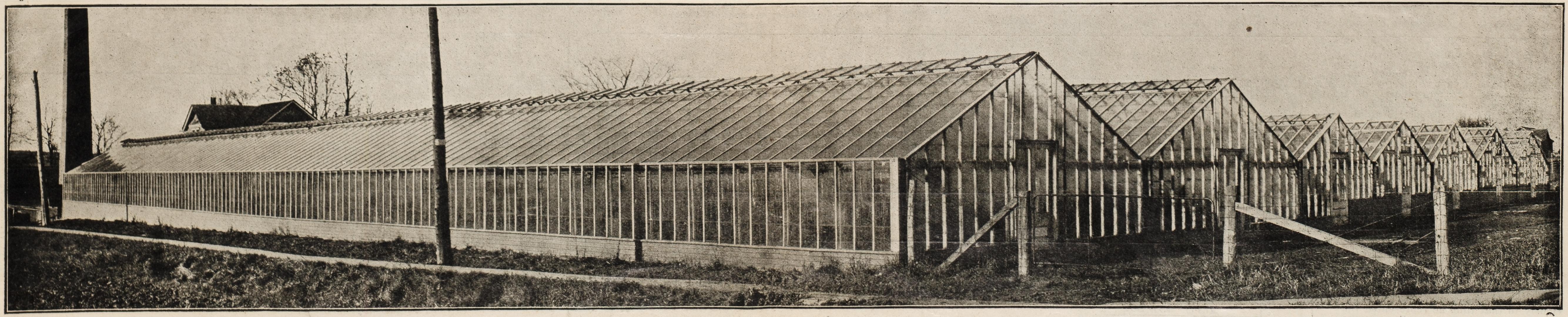 W. J. Lawrence greenhouses, Roselawn Avenue, north side, between Yonge Street and Duplex Avenue…