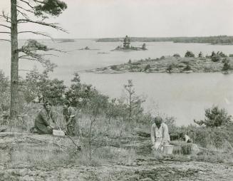 Members of the Shawanaga Reserve are seen here busily engaged in picking the tiny fruit, 25 miles north of Parry Sound on Georgian Bay