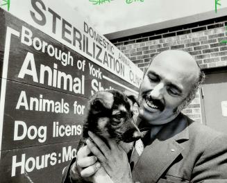 Puppy love isn't saddling Metro with as many unwanted pets as it used to, says George Banton, chief animal control officer for the Borough of York. Above, he displays one of the York animal shelter's inmates, a young part-German Shepherd. The animal shelter now has empty cages and Banton gives the credit to the borough's low-cost spay-neuter program, begun two years ago.