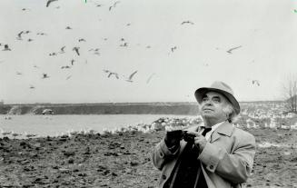 Pollution solution: Retired biochemist Dr. Dmytro Buchnea says solution to gull problem on Leslie St. Spit is to harvest eggs for eating. But Canadian Wildlife Service officials have tabled his idea.