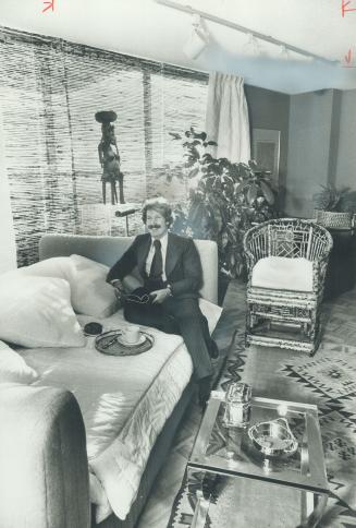 One-Room apartment can be a versatile living space, interior designer Stephen Cohen proved when he decorated his won studio apartment. He designed the sofa-bed with gray flannel upholstery and a white quilted cover. Window shades and the wicker chair are in a tortoise-shell pattern.