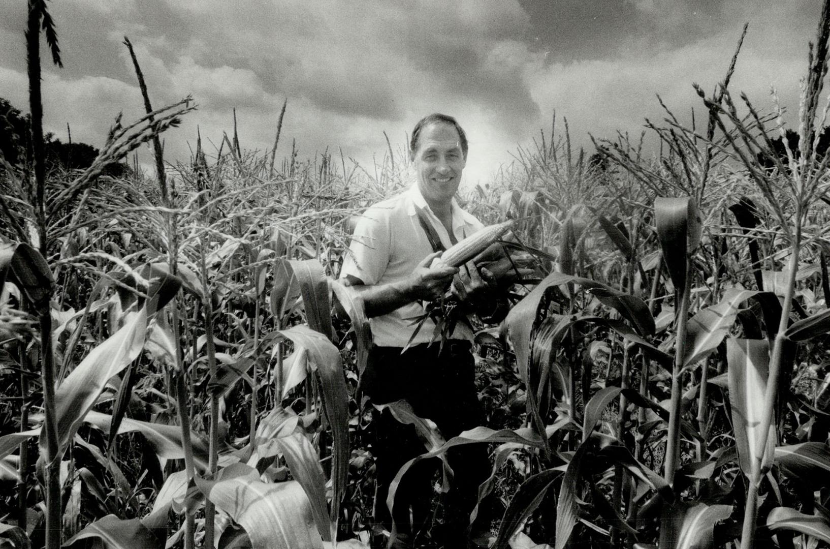 Sweet success: Tom Chudleigh of Chudleigh's Apple Farm, near Milton, poses with some ears of a new strain of super sweet corn, which has the ability to stay sweeter long that other types of corn.