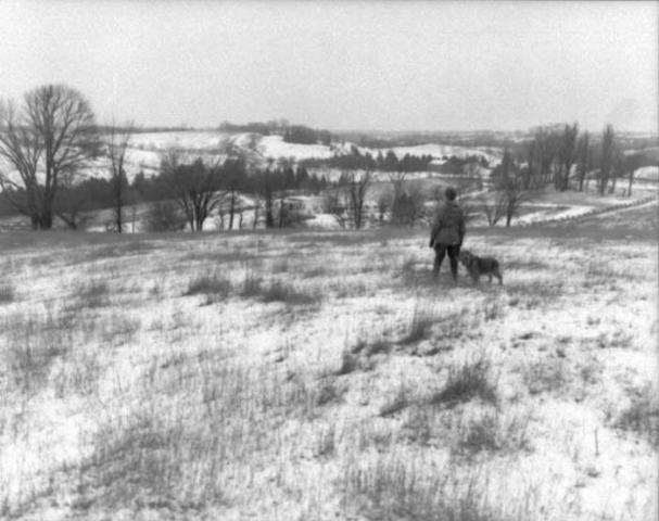 Walking dog in conservation area