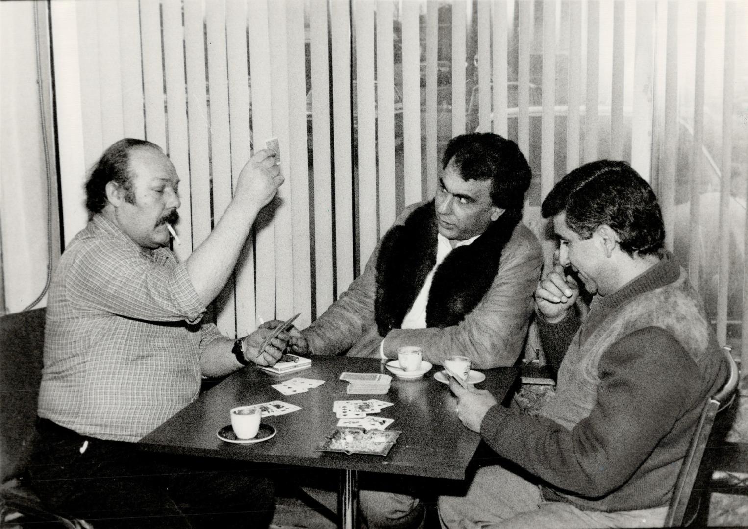 Back at it: Corrado Di Pietro, left, settles in for a good card game with customer Mike Stelti, right, while another customer watches at Corrado's Billiards on Ellesmere Ave.