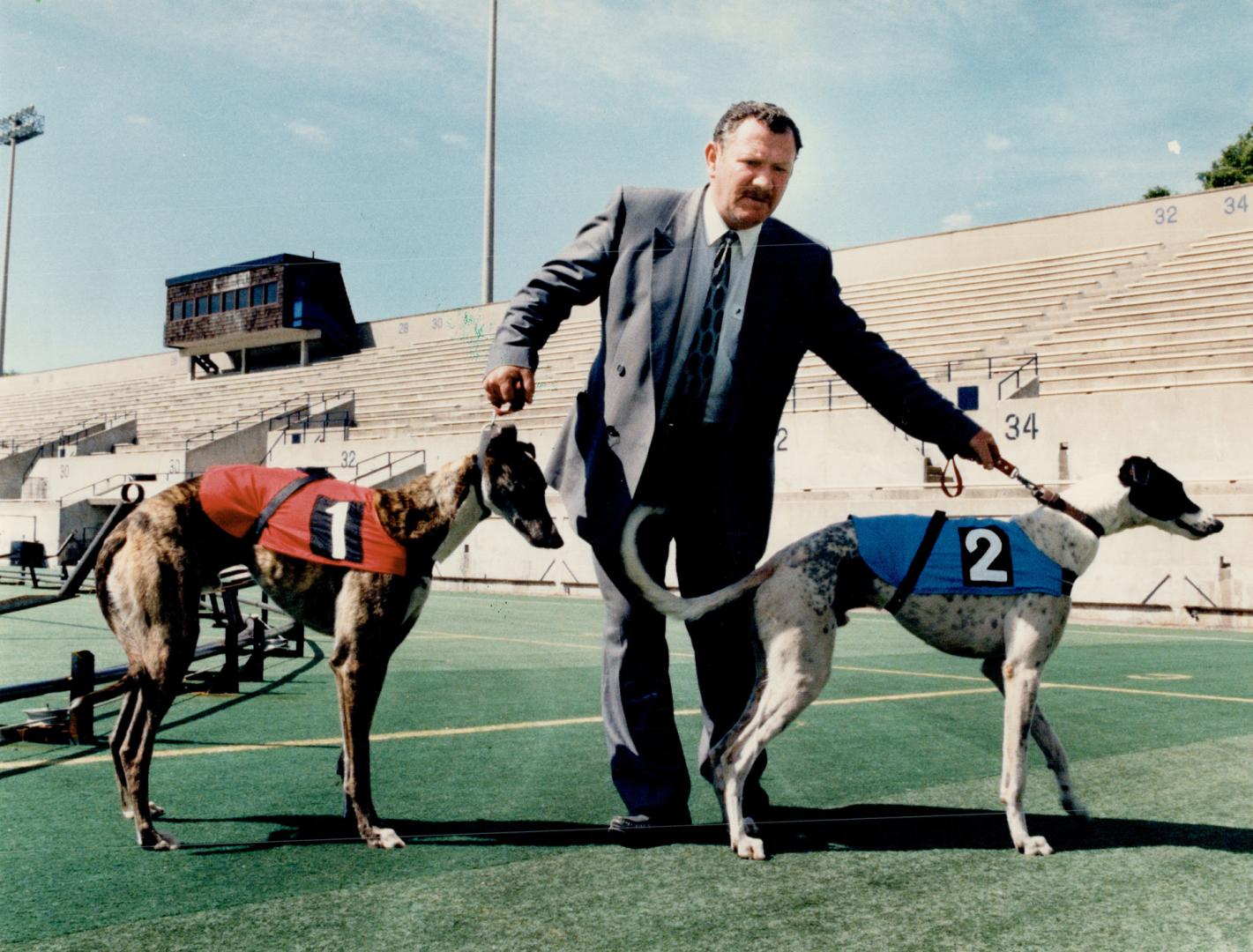 Whoa, boy!, Dave Docherty, who promoted the Greyhound racing event last night, had his hands full earlier in the day with two greyhounds chomping at the bit to hit the racetrack.