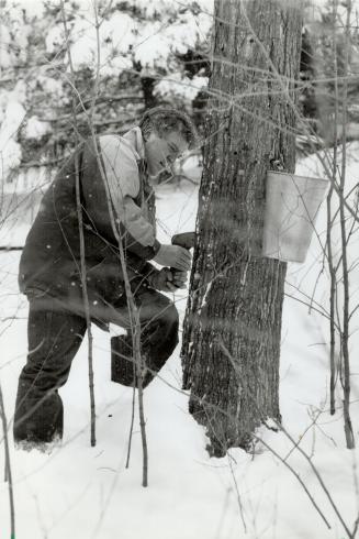 Allan Foster. Curator. Kortright Centre