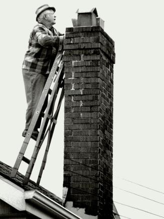 Trapper at work: Les Hill sometimes climbs onto the roof to attack raccoons from above or sticks his head in the fireplace to get them from below and either approach usually draws an interested party (left)