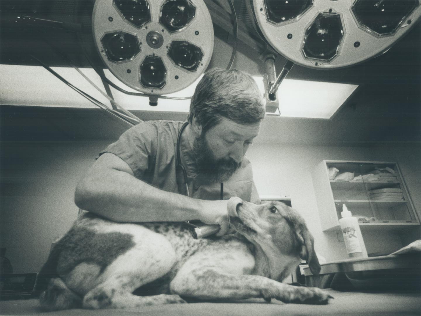 Toronto Hospital's Dr. Jim Kenyon favors using doomed animals from pounds for research.