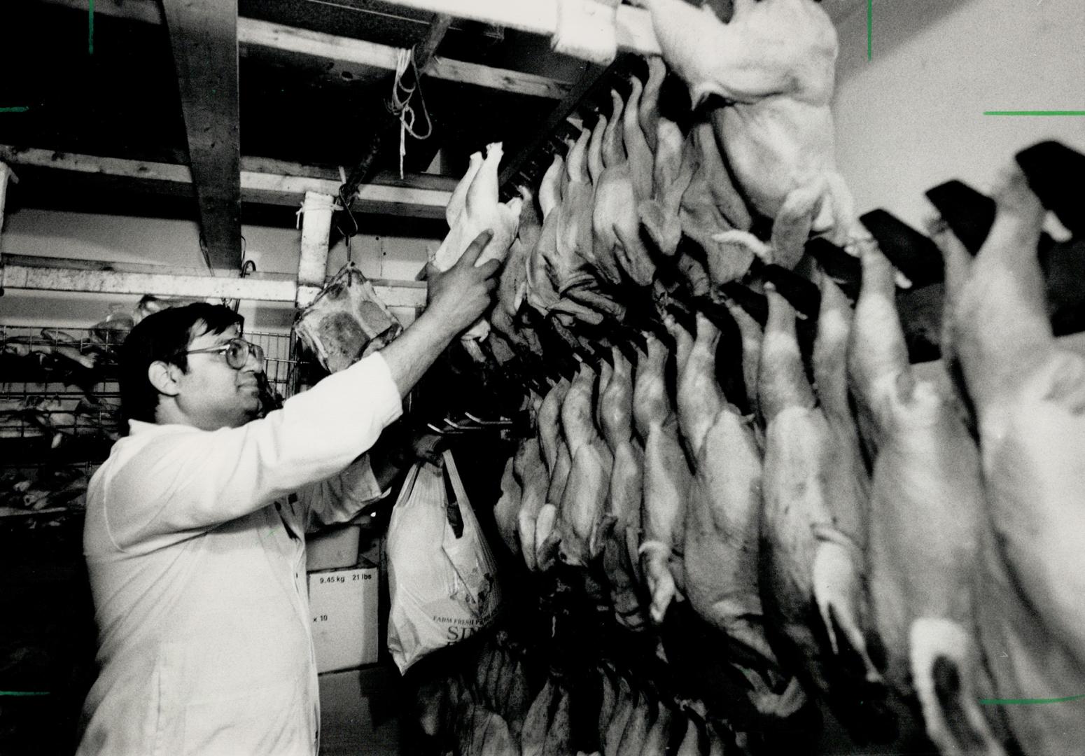 Muslims help needy: Irshad Hussein prepares Halal meat - a special Muslim preparation - in his Eglinton Ave. E. store for distribution to food banks.