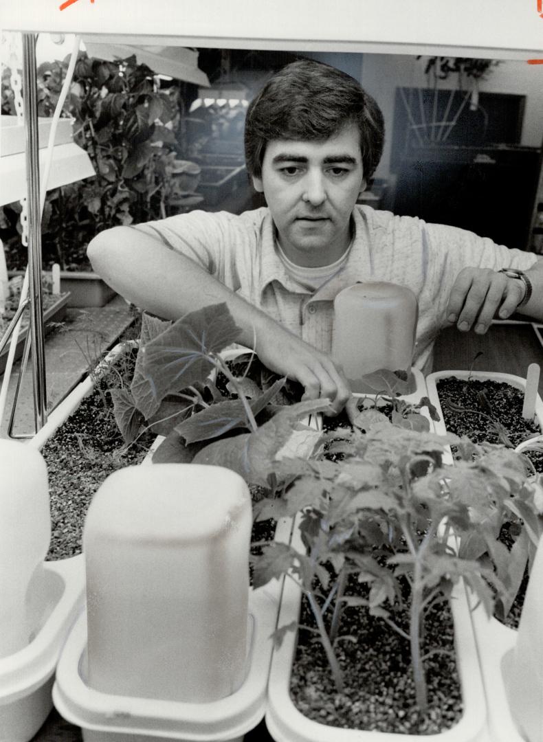 Richard Lewis : The hydroponic gardener contemplates the delectables that will grace his table in the form of a salad