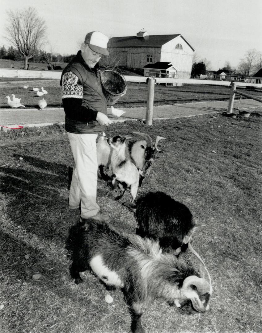 Animals everywhere: Sandy Mitchell, who has cerebral paisy, redesigned his farm to cater to the disabled