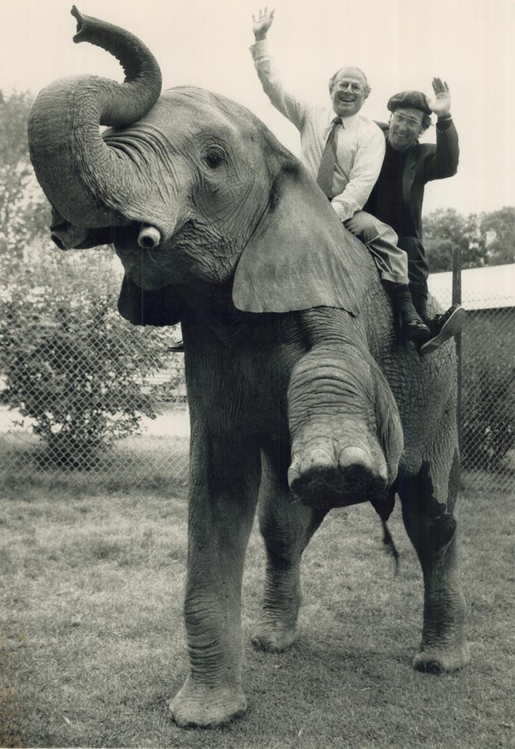 Pachyderm Pals: Angus the Elephant is put through his paces by Norman Paul, front, and Ronald Urman, of the Habourfrount Antique Market.