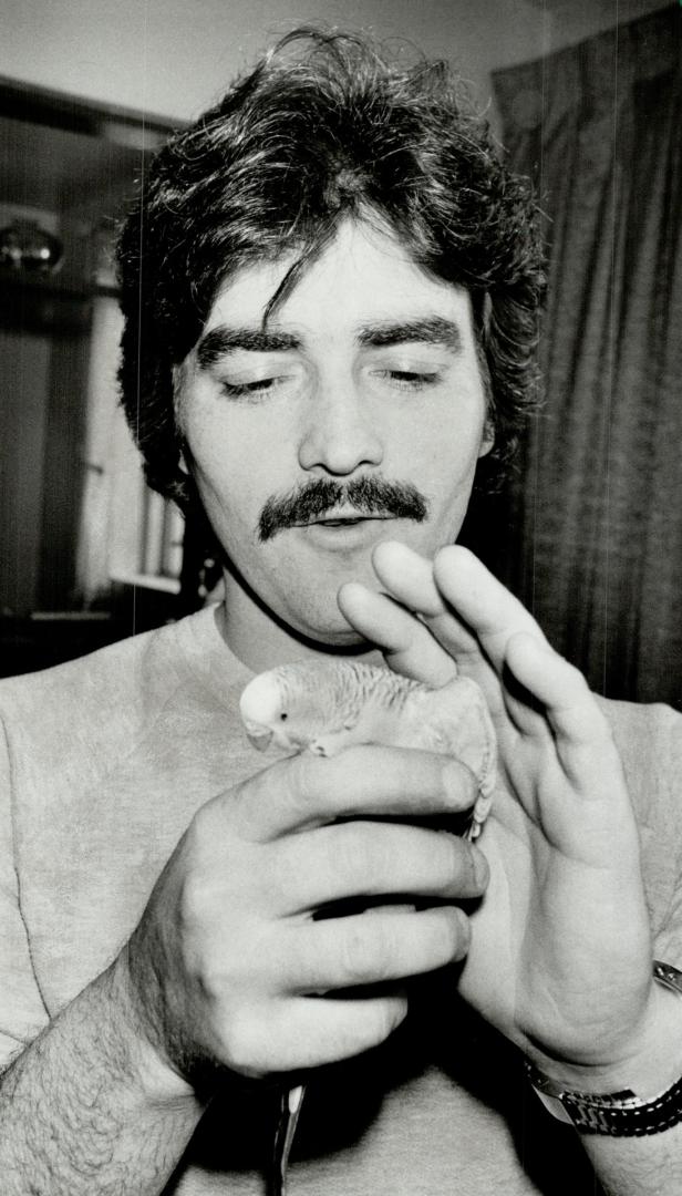 Tender moment: Jacques Perrin of Stratford, father of 5-year-old Denis, who was found dead in a ditch one week ago today, holds the budgie he gave his son just days before the abduction