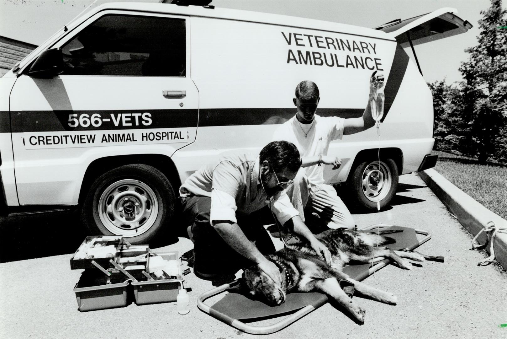 Model Patient: Smokey the German Shepherd isn't really hurt, but he lets roving Mississauga vet Kevin Saldanha, in front, with student steve Rochon, demonstrate his emergency service