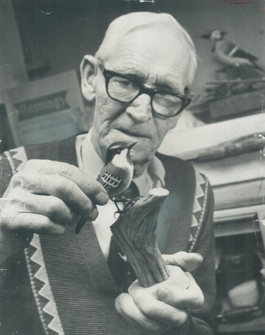 Woodcarver Frank Smith, 79, examines one of the hundreds of colorful life-sized models of Canadian birds he carved over the past 50 years