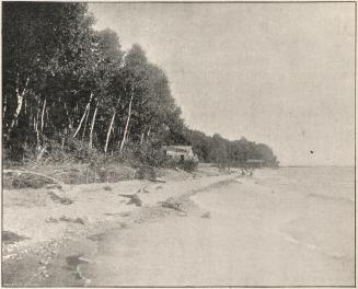 Lake front on Lake Ontario, at Balmy Beach?, Toronto, Ontario.