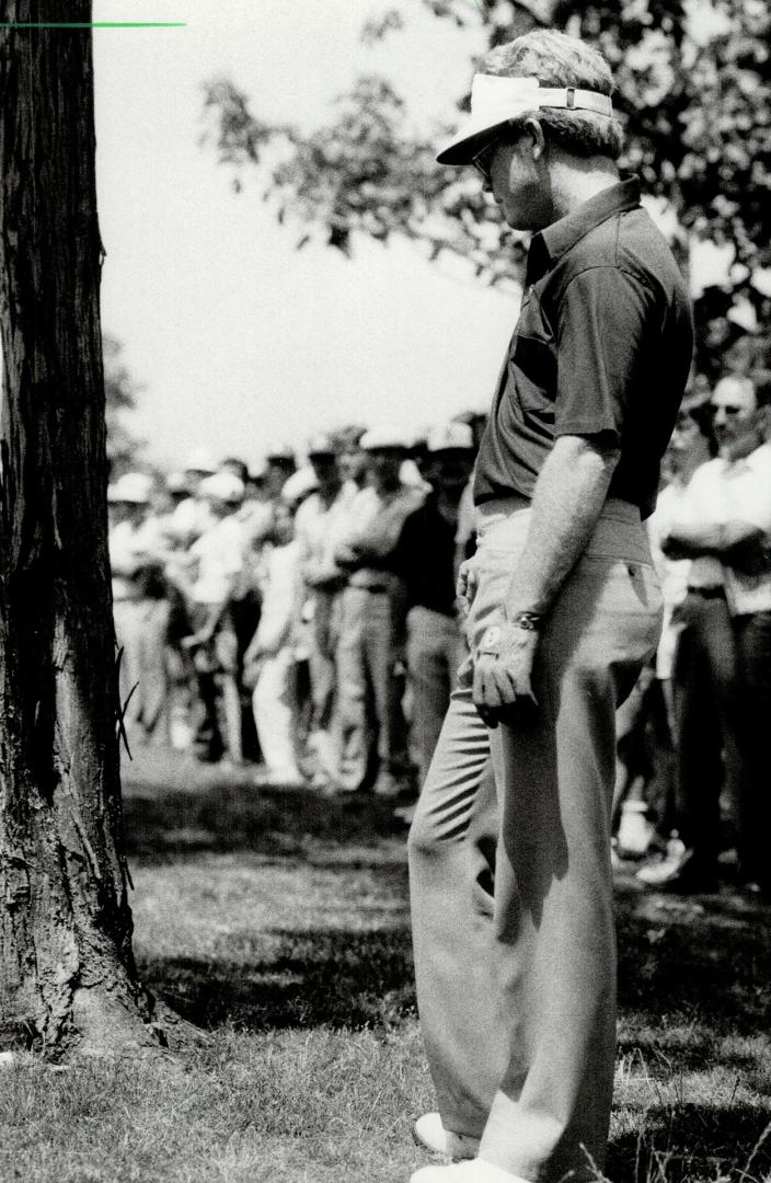 Tree trouble: One of the golf tour's top shotmakers, Tom Kite, had a toughie to face on the fifth hole at Glen Abbey yesterday as he found his tee shot in the vee of a tree