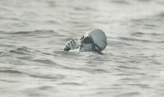 Angela Kondrak drinks as she swims. Slicing toward Toronto, she stopped for tea and honey.