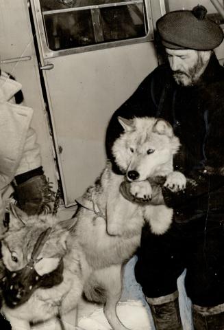 For the first time in Canadian aviation history, wolves were carried as paying passengers when Trainer Laflamme brought his team from Gogama to Sudbury on the first lap of an exhibition tour which will take him to Montreal, Boston and New York