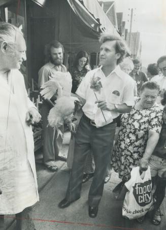 Campaigning in Kensington Market, in downtown Toronto, Ontario New Democratic Party Leader Stephen Lewis bought a live chicken from poultry dealer Benny Kut