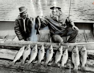 Happy Angler: Star sports writer Neil MacCarl is obviously delighted with bumper catch of smallmouth bass during recent expedition to Port McNicoll, Ont