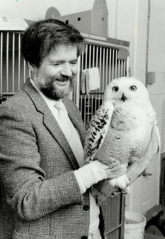 Downtown hunter: Barry MacKay of the Toronto Humane Society holds a Snowy Owl which was caught after being trapped in a window well in the Yonge St