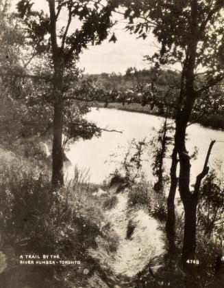 A Trail by the River Humber - Toronto