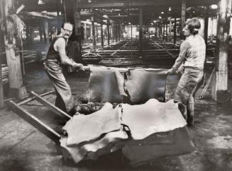 Beardmore employees Nelson Johnson and Wade Earle haul tanned "shoulders" out of tanning tanks. Acton, Ontario