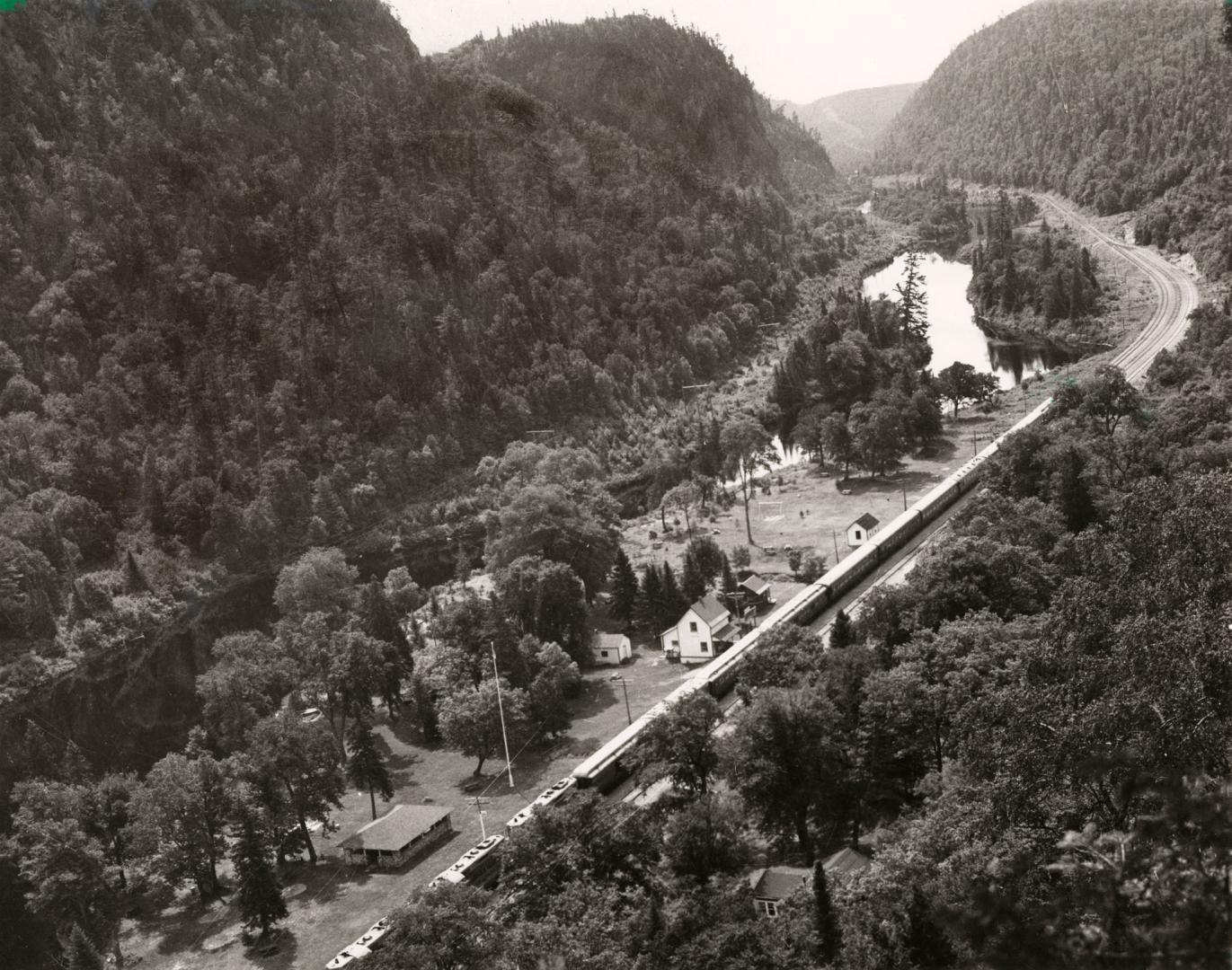 An areal view of a train, surrounded by forest.