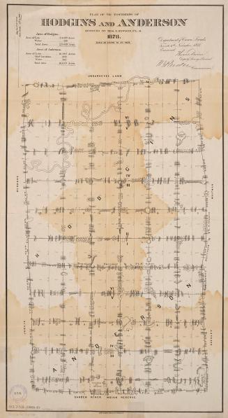 Plan of the townships of Hodgins and Anderson