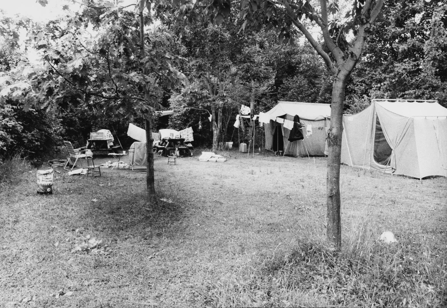 Campsite, Algonquin Provincial Park, Ontario