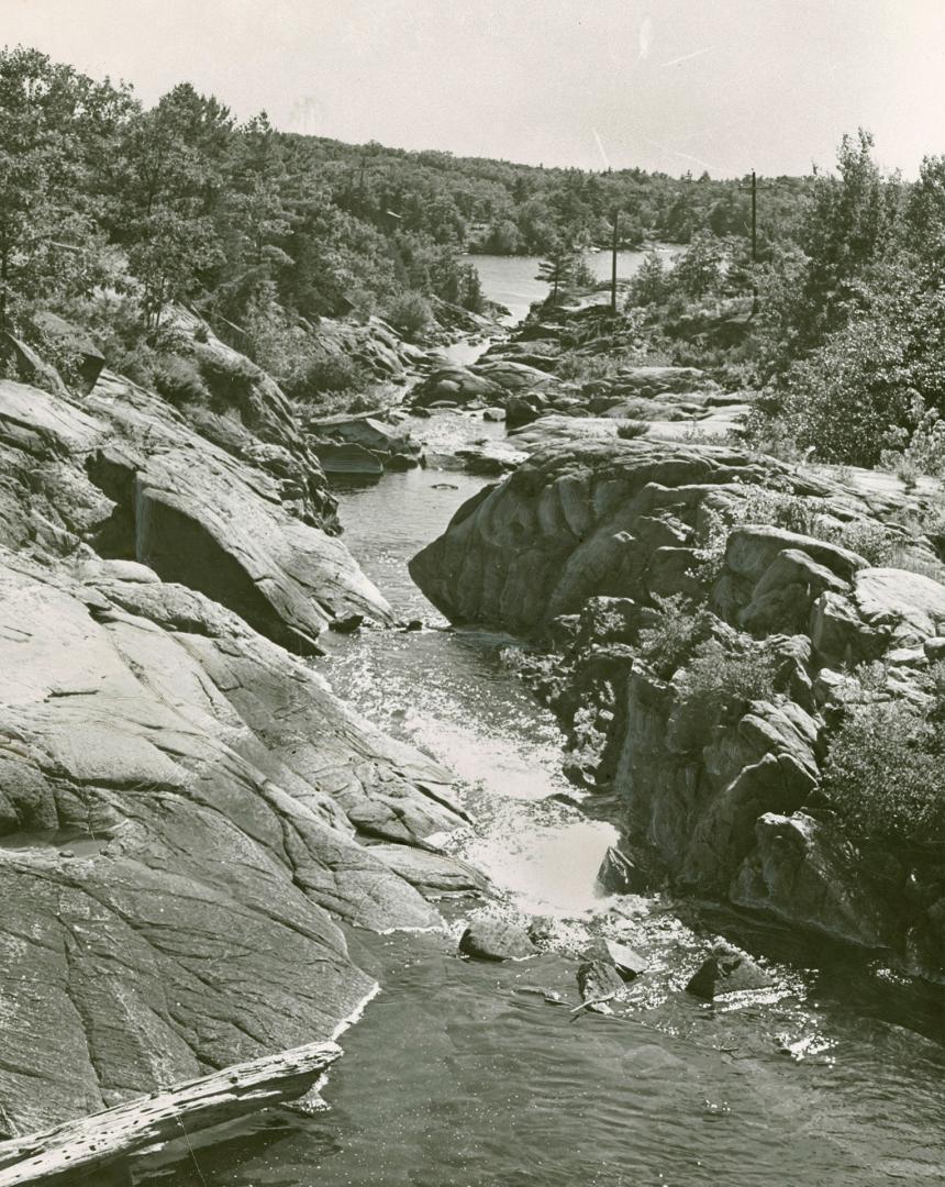 Stream running through the forest in Muskoka, Ont.