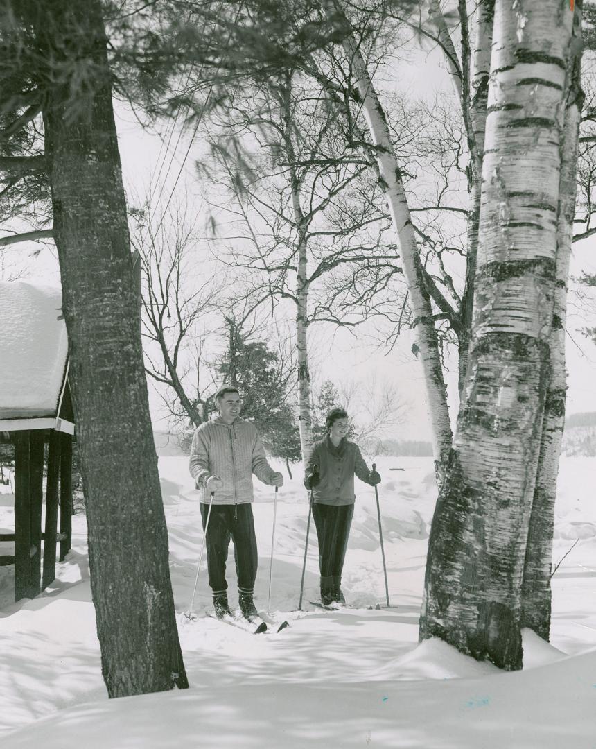 Cross-country skiing in Muskoka, Ont.