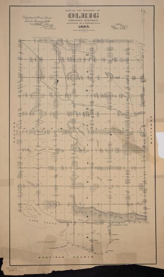 Plan of the township of Olrig