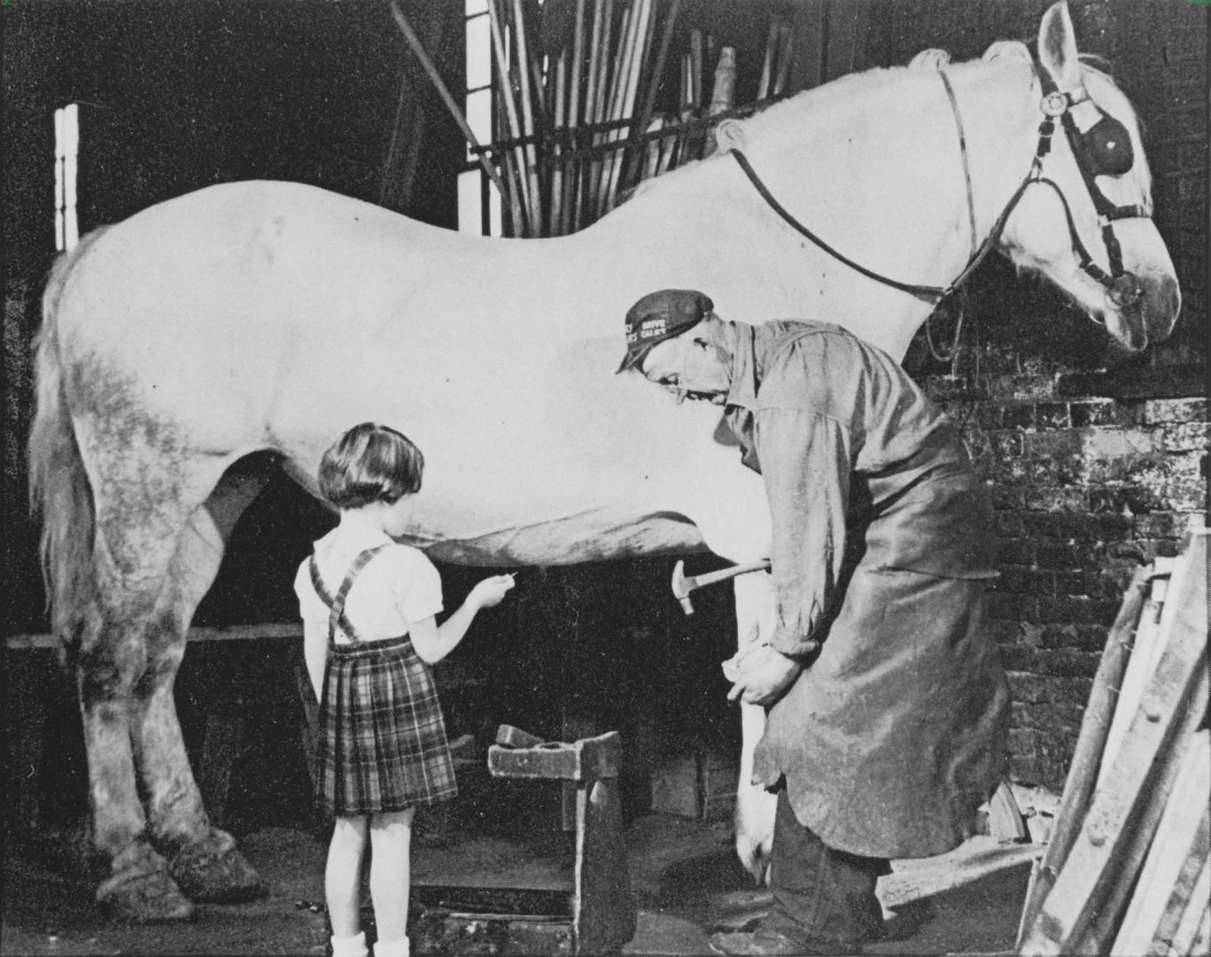 Bowmanville's last blacksmith, Frank Cryderman, working on his 77th birthday, with 4-year-old Carol Elston watching. Bowmanville, Ontario