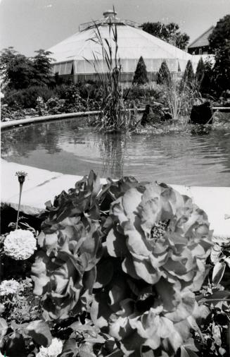 Chinguacousy Park greenhouse in Brampton, Ontario