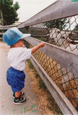 Petting zoo in Chinguacousy Park. Brampton, Ontario