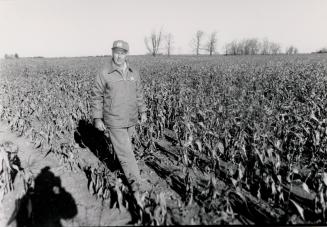 Joe Gray still plows the Brampton area farm his family carved out in 1823. Brampton, Ontario