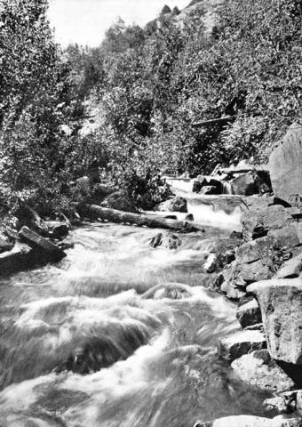 Rushing brook, Caledon Mountain Trout Club