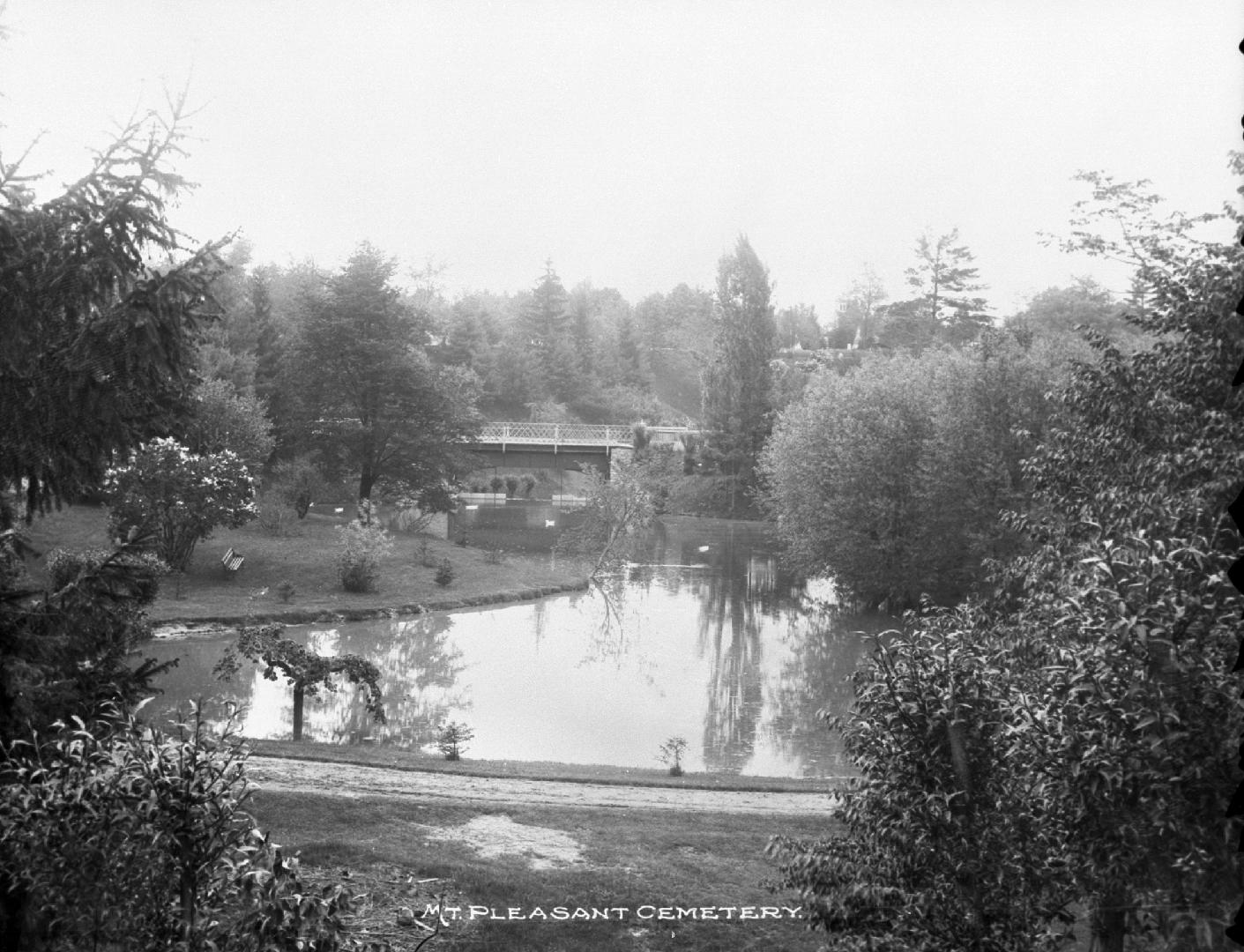 Image shows a pond with surrounding trees in the cemetery.