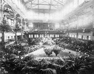 Allan Gardens, pavilion (1878-1902), interior