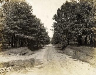 Baby Point Road, looking west from west of Jane St